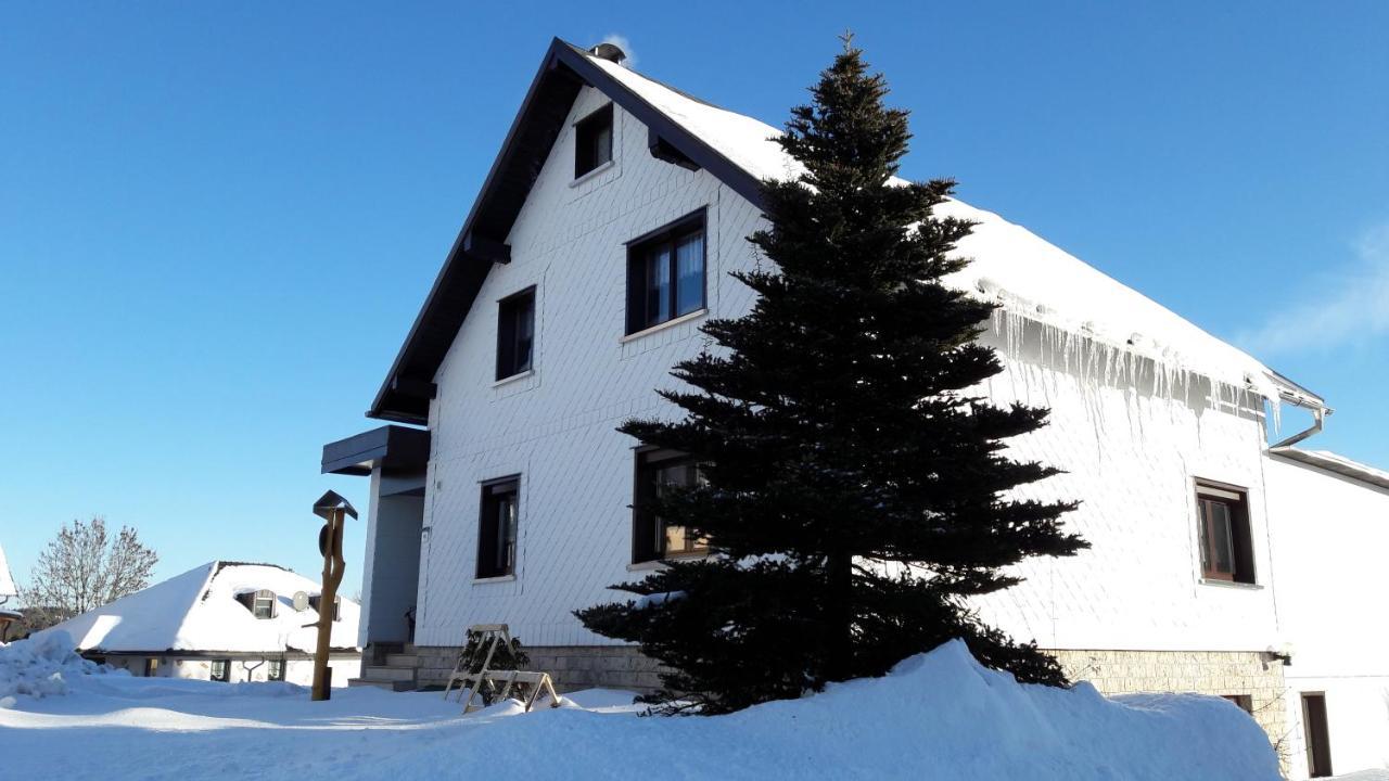 Ferienwohnung Hauptmann Frauenwald Luaran gambar